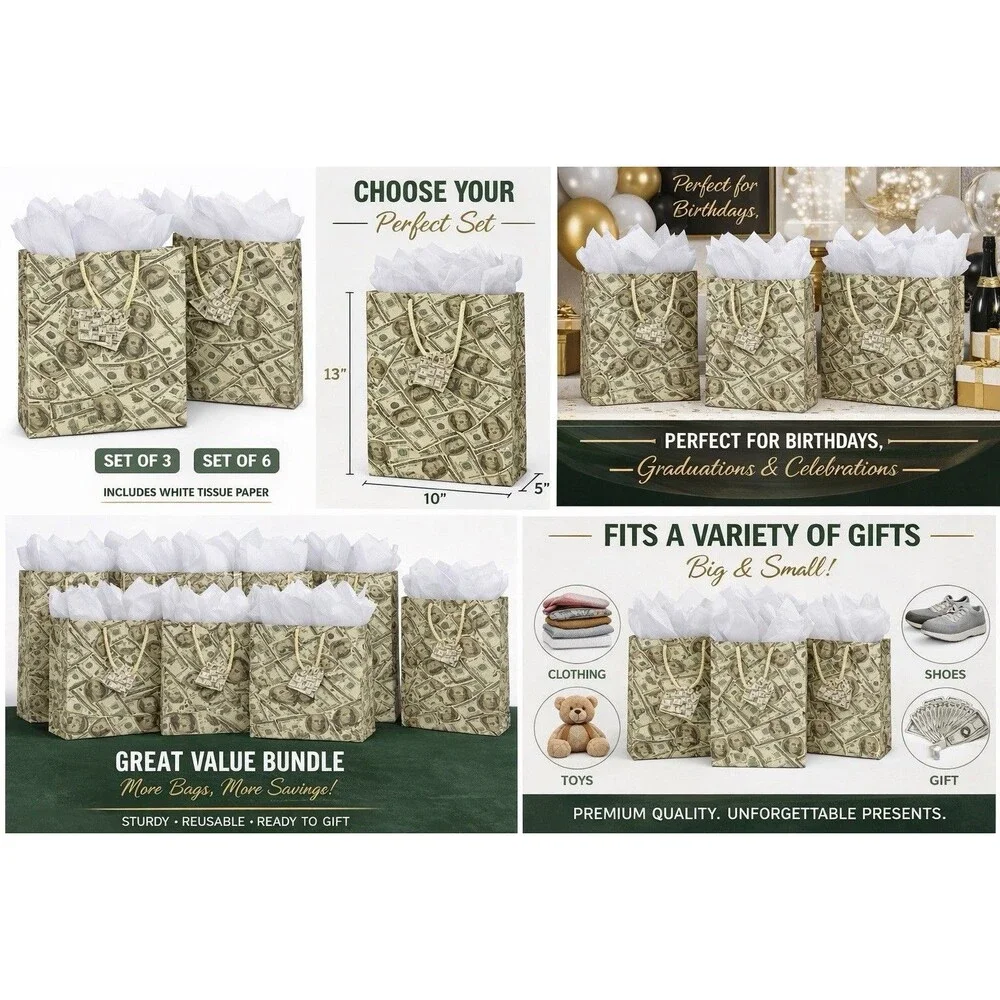 6 Pack Money Gift Bags w/ Tissue Paper 13x10x5 Birthday Graduation Holidays